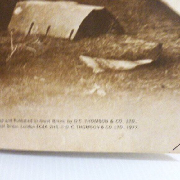 2x WARLORD For BOYS All ACTION Picture WAR STORIES D.C. Thomson & Co. Ltd. - Picture 4 of 12